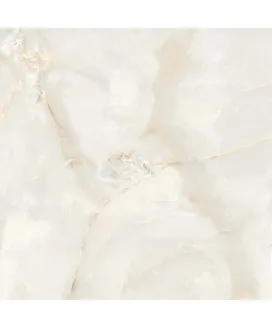 OSTRA BIANCO