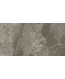 Grey Beauty Lap 60x120