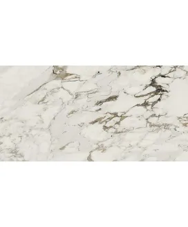 Capraia 40x80