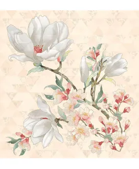 Magnolia Crema