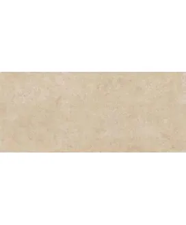 Beige 120x278