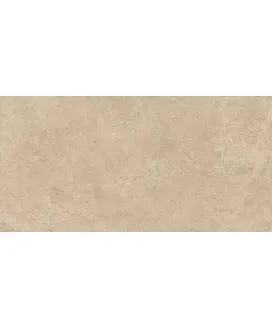 Beige 60x120 20 mm