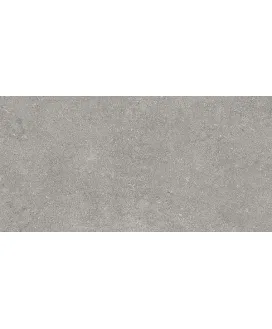 Серебристо-Серый Матовый R10A Ректификат 60x30