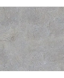 Silver 59.6x59.6