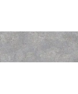 Silver 59.6x150