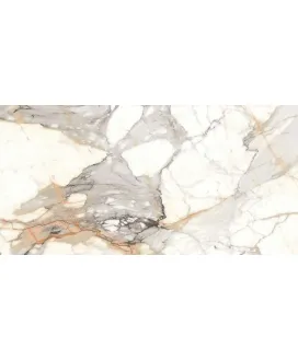 Venato Carrara High Glossy