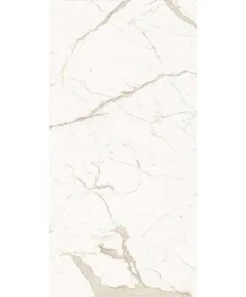 Bianco Calacatta Lev. Silk 6mm 150x300