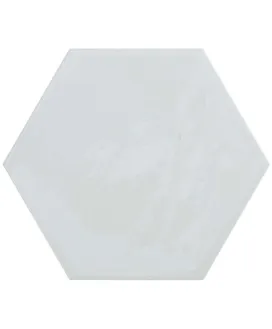 Hexagon White