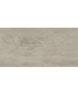 Grey 120x60 Матовый 10мм