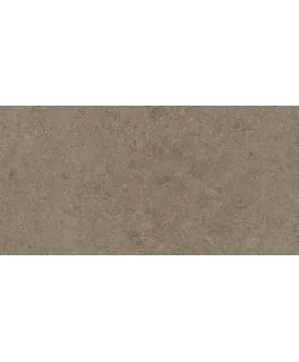 Taupe 60x120