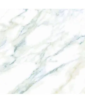 Sugar 60x60