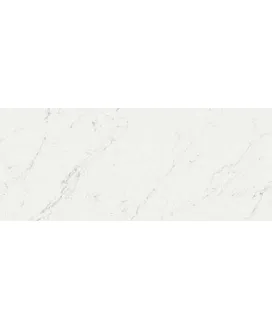 Carrara Pure 50x120