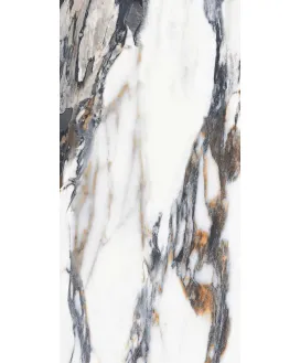 Dark Polished 60x120