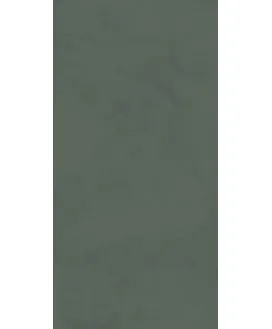 Зеленый Матовый Обрезной 60x119.5
