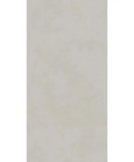Серый Светлый Матовый Обрезной 119.5x238.5