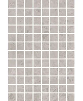 Мозаичный Серый Матовый 20x30