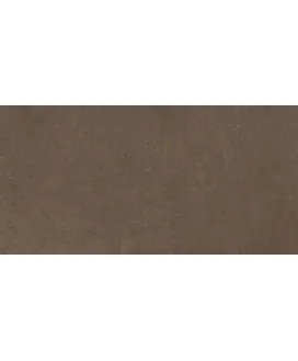 GO03 Brown Grey 120x60 Неполированный Рекст.