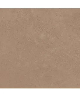 GO01 Beige 60x60 Неполированный Рекст.