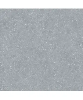 Bluestone Light 59.7х59.7 Матовый Антислип X2