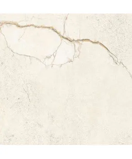 Gloss 60x60