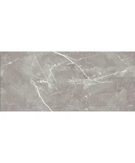 Charm Grey Polish 60х120