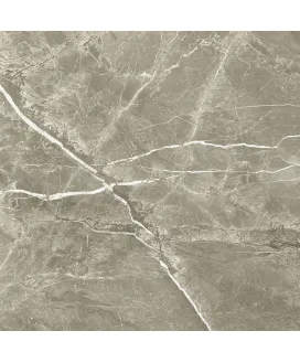 Noce 60x60