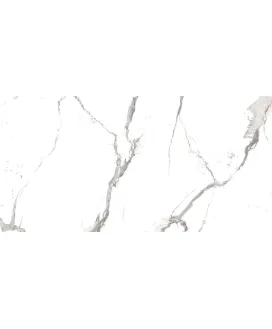 Polished 60x120