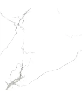 Polished 60x60