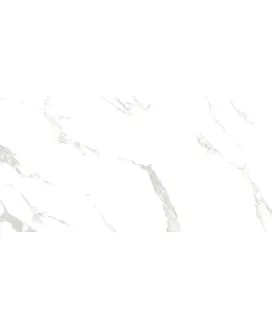 Polished 60x120