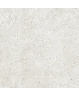 Polished 60x60