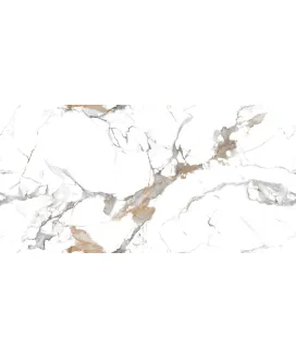 Polished 60x120