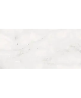 Bianco Polished 60x120