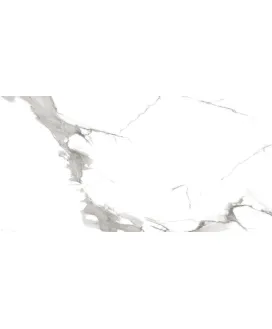 Polished 60x120