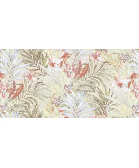 Ivory Decor Matt 60x120