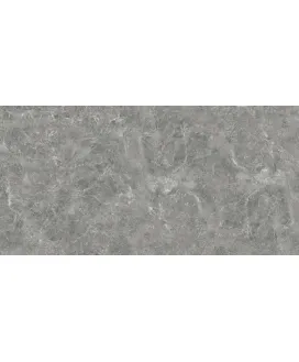 Серый 60x120 Полированный