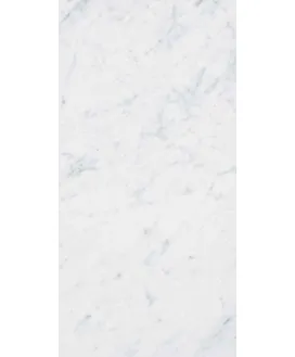 Carrara 60x120