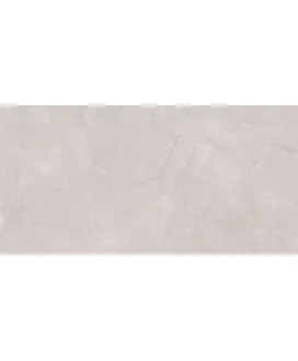 Серый 60х120 Матовый