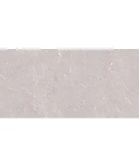 Серый 60х120 Матовый
