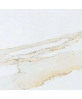 Gold 59.6x59.6