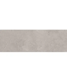 Taupe 40x120